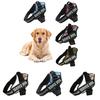 Nylon Pet Harness With Sturdy Strap And Buckle For Secure Fit