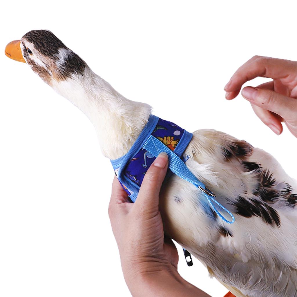 Harness Leash for Pet Safety Vest Walkng Lead Easy Control Supplies Pet Harness for Duck Ferret Accessories