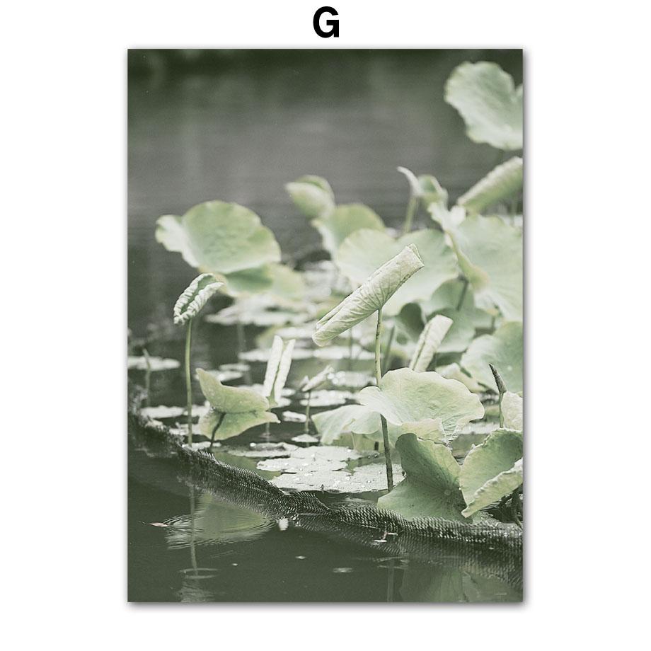 Świątynia stawu lotosu zielony most trzcinowy obraz ścienny na płótnie skandynawskie plakaty i druki wystrój domu chińskie zdjęcia salonu