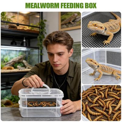 Caixa de Criação de Tenebrióides Habitat de Alimentação com Malha Transparente Recipiente de Fazenda de Tenebrióides Para Petauro-do-açúcar Répteis Pássaros Frango Lagarto