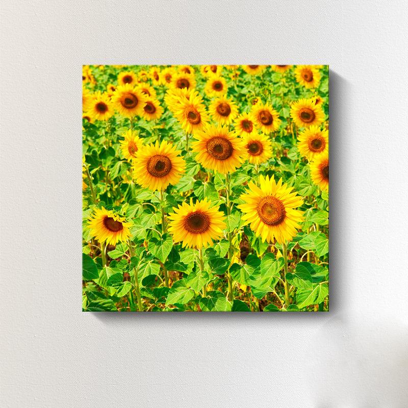 Moderne Sonnenblumen-Leinwandmalerei, nordische Landschaft, HD-Bilder, Blumenplakate und -drucke, Wandkunst, Bilder, Wanddekoration, kein Rahmen