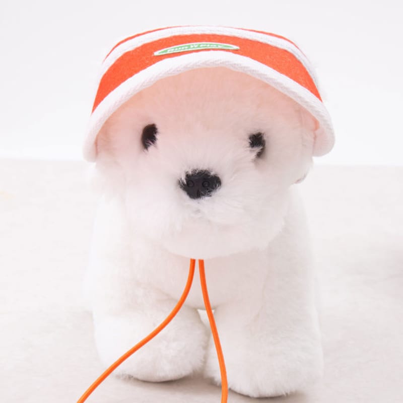 [Pet] Sun Cap S