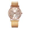 Luxury Ladies Watch / Exquisite Quartz Dial
