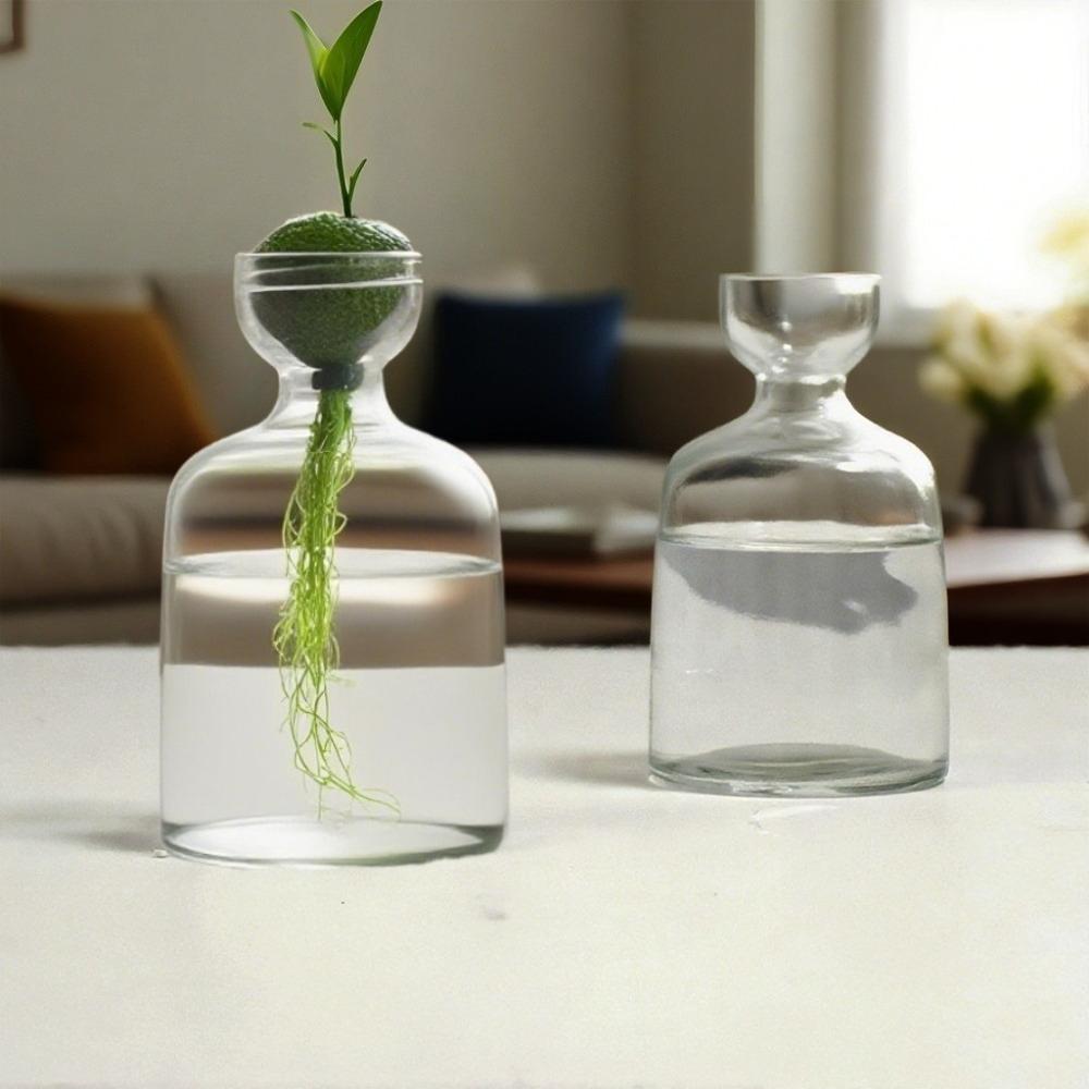 Kreativní váza Skleněná hydroponická váza na semena Skleněná váza Váza na avokádo Domácí dekorace na stůl Hydroponická ozdoba Milovníci zahradničení