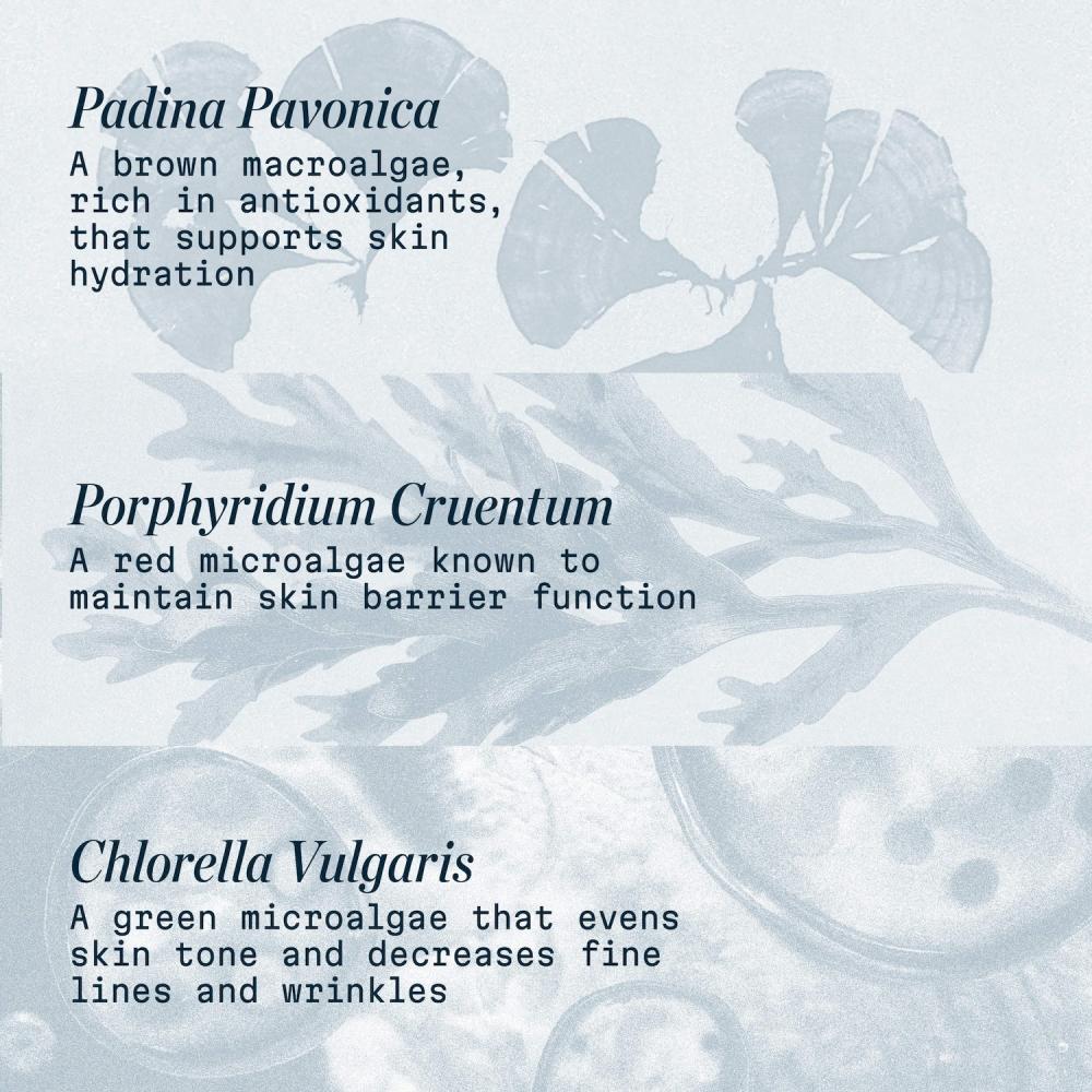 Elemis Pro Collagen Anti Aging Marine Cream 1.69 Oz   50 Ml