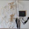 Xiaomi 2PC/Set Halloween Outdoor Solar Garden Lights Waterproof 3D Horror Bat Skeleton Purple Orange Stake Lights House Party Decor