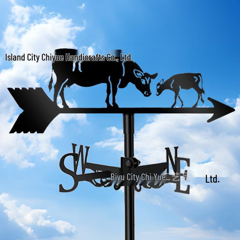 Weather Vane Ornament: Outdoor Wrought Iron Spray-Painted Roof Decoration Metal Craft