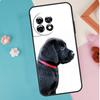 Cartoon Golden Retriever Dog For OnePlus Nord 5 CE 2 3 4 Lite N20 N30 Case For OnePlus 15 13 12 11 10 13T 10T 12R 13R 15R