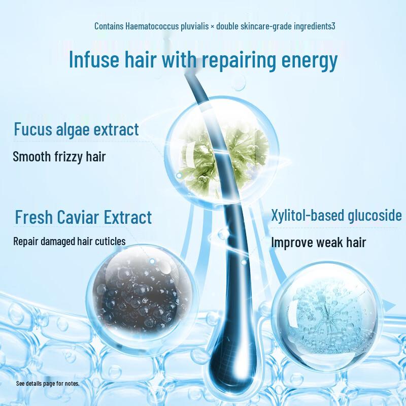 b2v Black Algae Lightweight Repair Shampoo 580ml