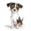Cute Jack Russell Terrier - Poster for Children Cute Jack Russell Terrier - Poster for Children, 30X40 Cm, Unframed, Premium Canvas On Stretcher