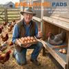 4Pcs Silicone Chicken Nesting Pad 12 Inch Cuttable Chicken Egg Laying Mat Reusable Hen Nesting Pad Chicken Coop Bird Nest Mat