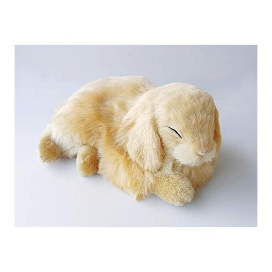 Nini and Kino Perfect Pet (Small Size) Rabbit Lop Ears (Beige) Stuffed Toy Rabbit Rabbit Realistic Looks Like Miscellaneous Goods Animal Healing