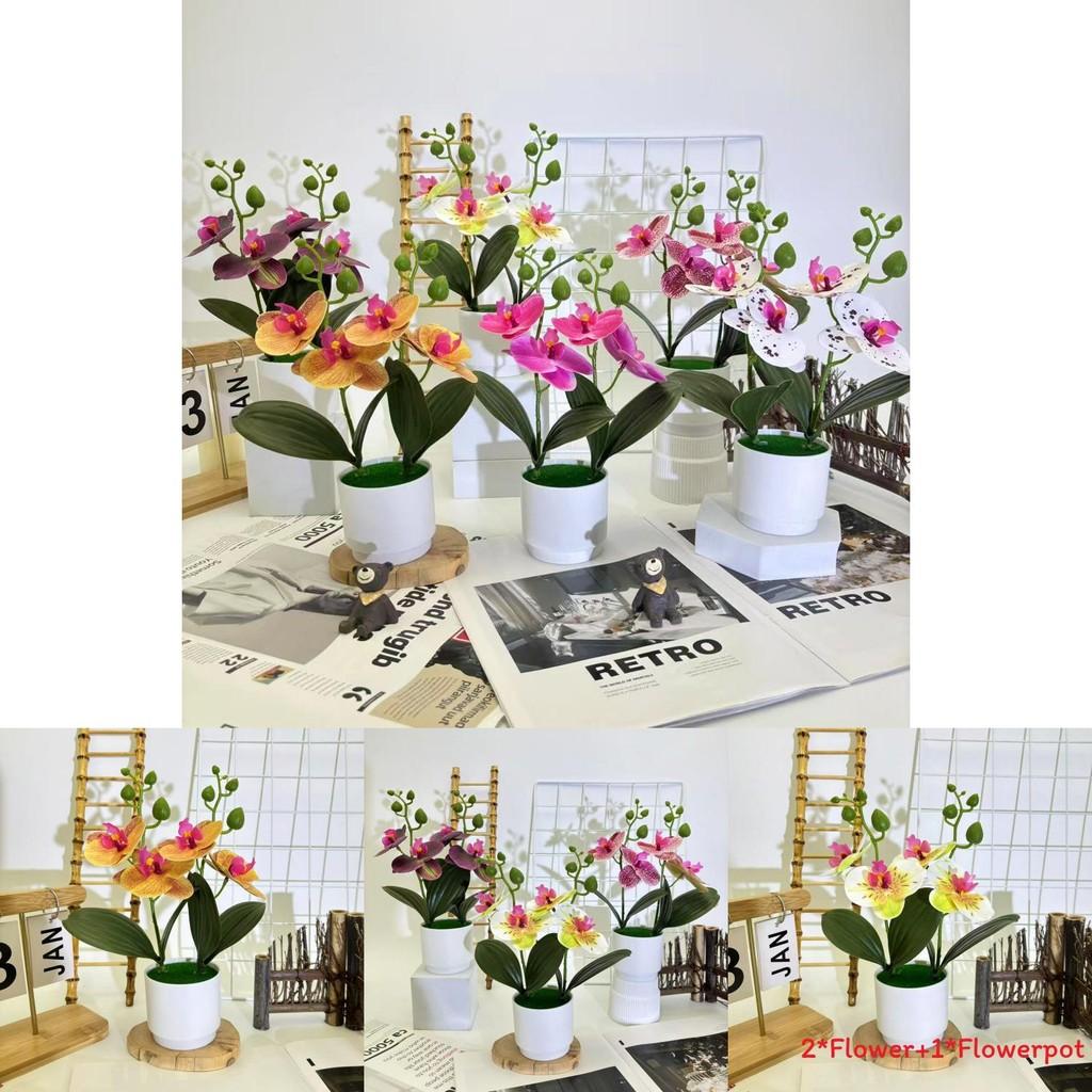 Butterfly Orchid Decorative Plant With 3d Film In Multiple Colors For Home And Event Decoration