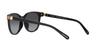 Sunglasses HC8350U CD478 50028G BLACK 54 [Coach] Women's
