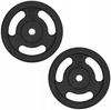 Cast Iron Weights 2X10Kg Handlebar Set 20Kg 28Mm