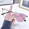 Ins Cat Eye Photochromic Glasses Frames Female Male Outdoor UV Proof Optical Grade Glasses Eye Glasses Travel Retro Spectacles Eyeglasses