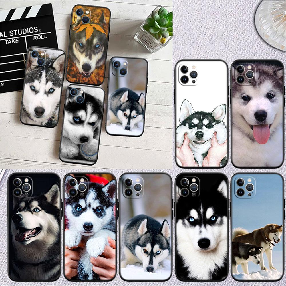 CJ66 Husky Puppy Dog Soft Shell Phone Case for Samsung Galaxy S20 S21 S22 Ultra FE + Plus A21S A22 A24 A25 A26 A30 A30S A31