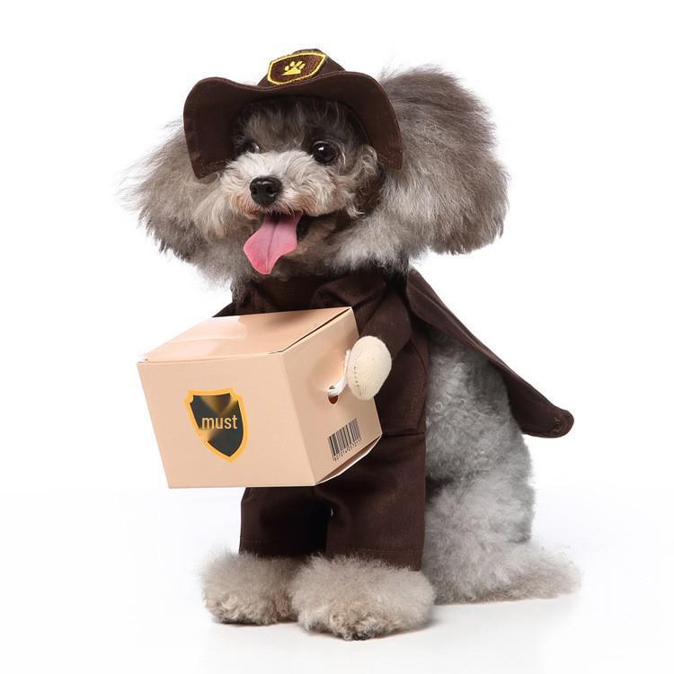 Christmas Costumes: Funny Standing Transformation Clothes for Small and Medium-Sized Dogs and Cats