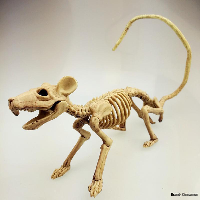 Halloween Skeleton Animal Set: Bat, Spider, Scorpion, Mouse, Snake, Toad & Haunted House Props