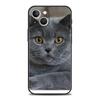 British Shorthair Cat Luxury Phone Case For iPhone 11 12 13 14 15 16 Pro Max Mini X XR XS 7 8 Plus SE Silicone Cover Black Funda