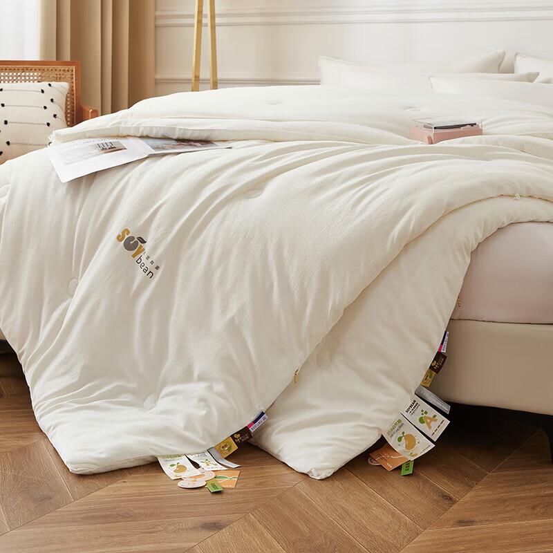 Cloud Velvet Warm Winter Fiber Quilt