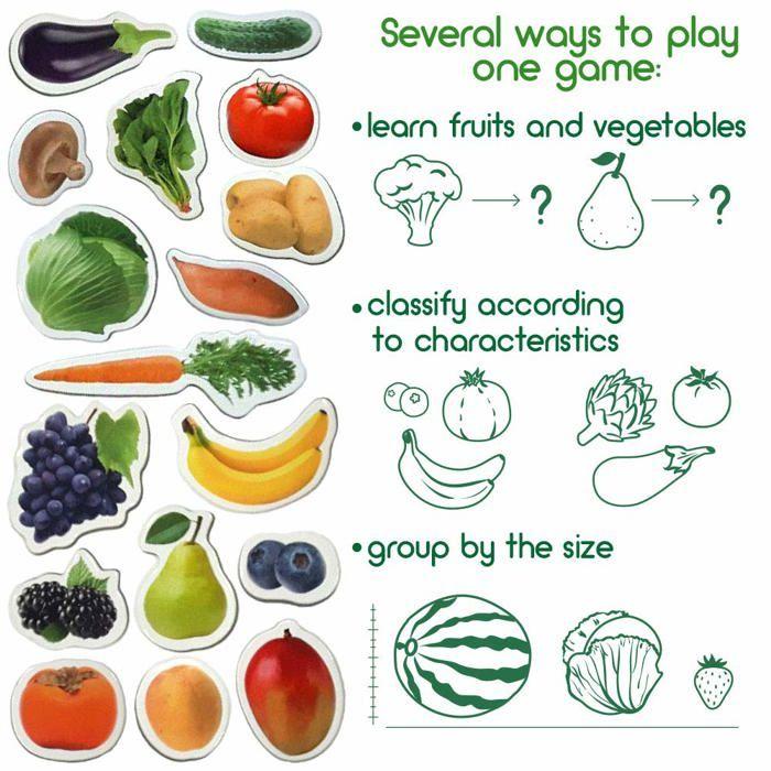 Jeu d'apprentissage - Magdum - ML - 50 aimants Fruits-Baies-Légumes - Éducatif - 3 ans et plus