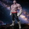 23cm Dragon Ball Z Jiren Anime Figures Gk Gods of Destruction Figurine Pvc Statue Model Doll Collection Ornament Birth Date Present