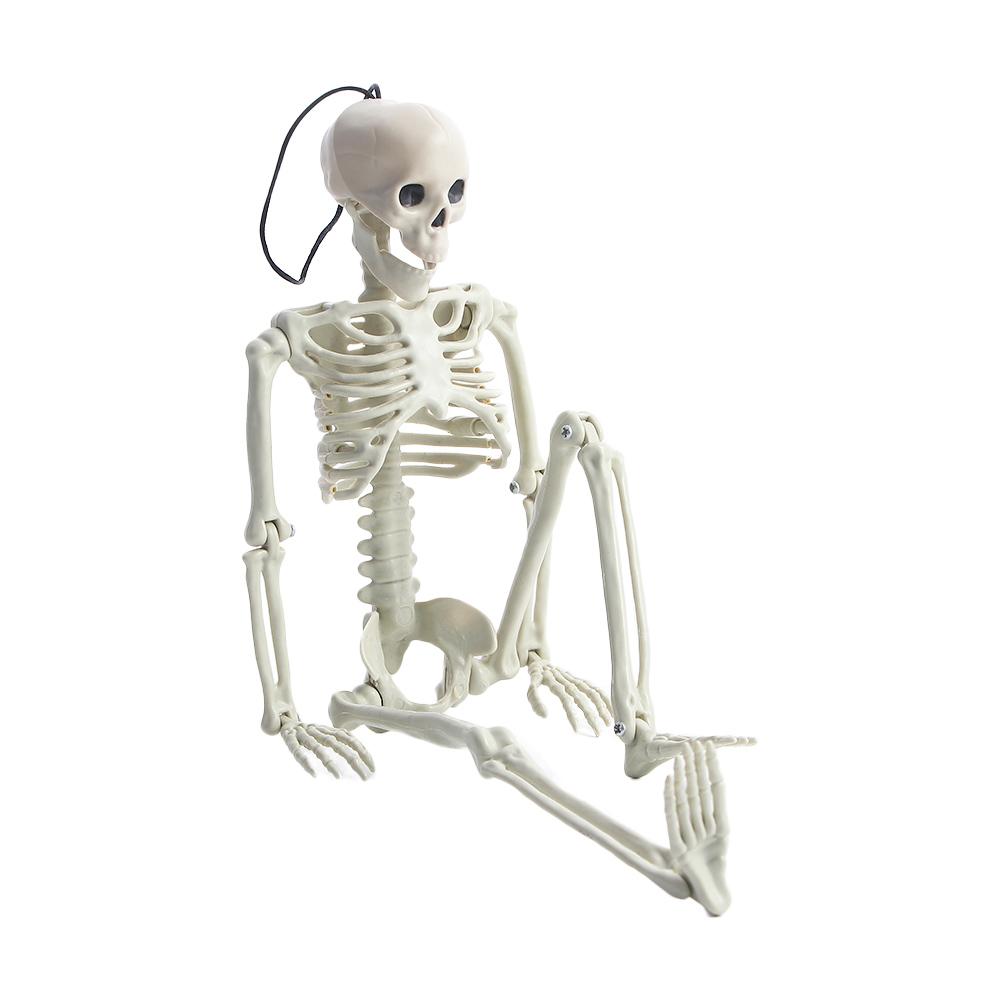 Parties Accessories Halloween Props Skeleton Model Human Bones Car Rearview Mirror Pendant