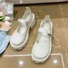 Mary Jane Women's Shoes 2025 New Fashion Versatile with Skirt Small Leather Shoes Women's French One-word Buckle Belt Thick Heel Single Shoes