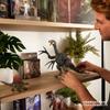 Mattel JURASSIC WORLD Hammond Collection Therizinosaurus Figure Dinosaur Toy Total 44cm Ages 8 and Up Green HXP73 Children's Length Approx.