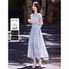Elegant Summer Sleeveless Shirt & Skirt Set