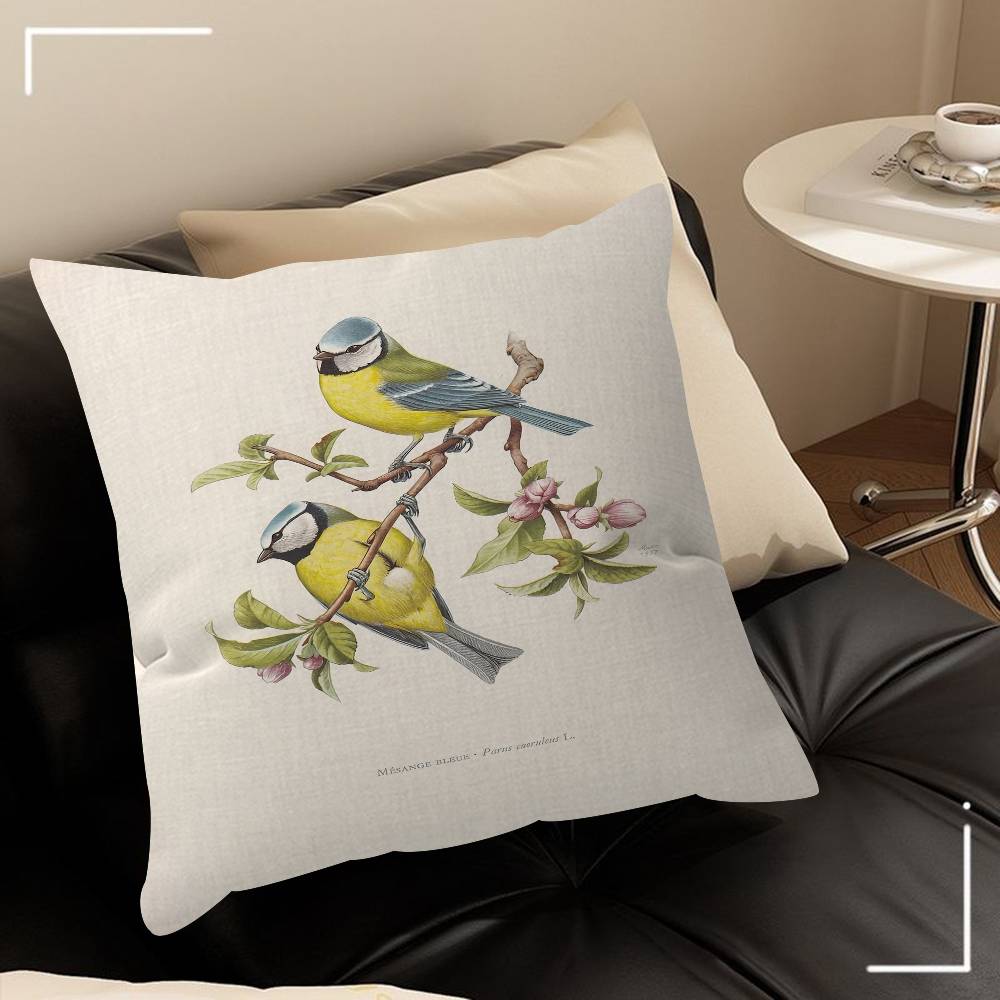 Various Types Of Birds Animal Introduction Pillow Covers Cartoon Sofa Home Doublesided Printing Short Plush Cute Cushion Cover