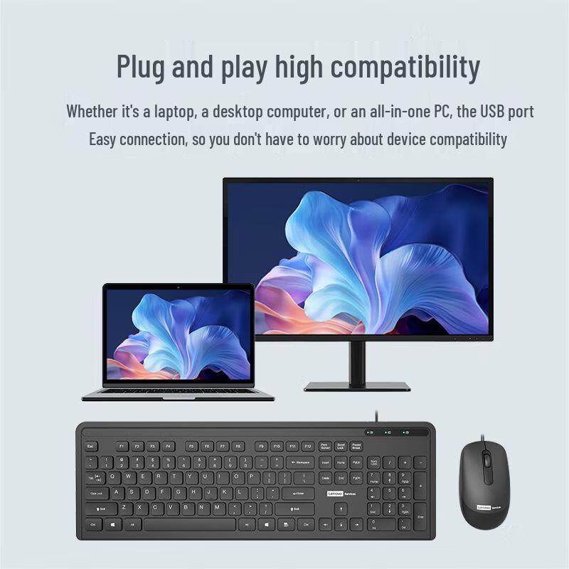 Lenovo PW31 Wired USB Keyboard and Mouse Set