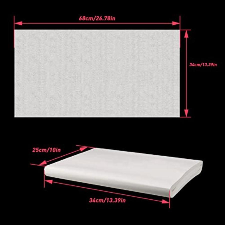 JANNO 200 Sheets Raw Xuan Paper Sheng Xuan Rice Paper Without Grids Chinese Calligraphy Practice Writing Sumi Drawing Painting
