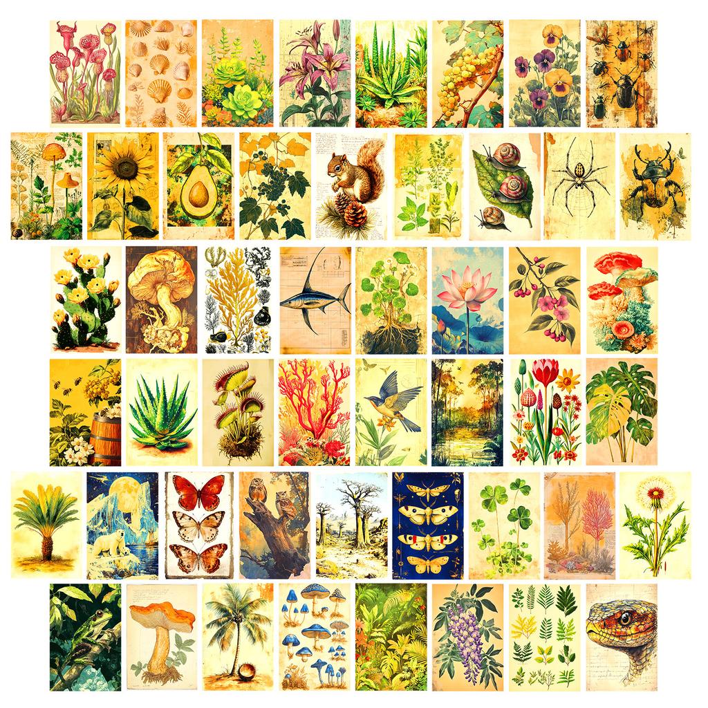 50 High-Value Aesthetic Series Watercolor Plant-Themed Decorative Wall Cards