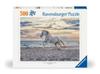 Puzzle 2D: Galop Na Plaży 500El