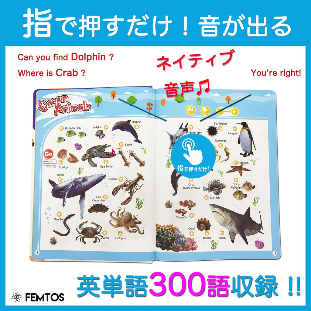 Femtos Alphabet Sound a Montessori talking book for learning through sound 300 basic English vocabulary colors and body sea Sound picture English