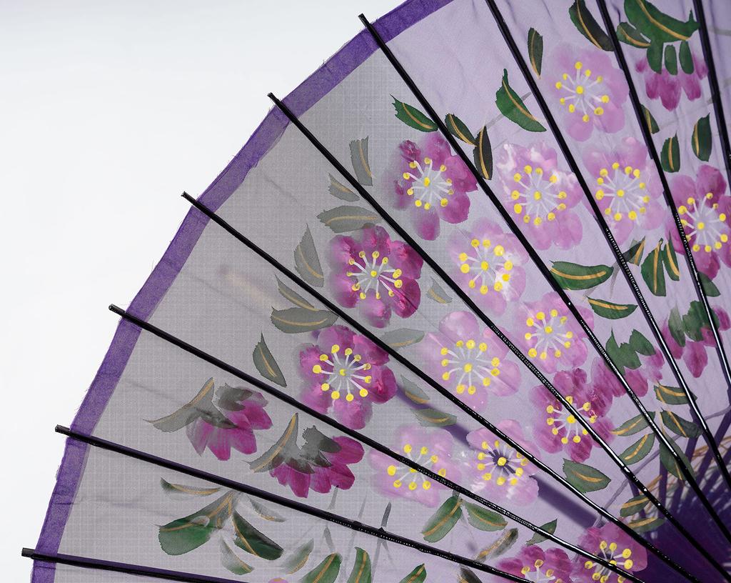 Yamamoto Bamboo Crafts Japanese Silk Umbrella with Cherry Blossom Design and Jointed Dancing Umbrella (YAMAMOTOTAKIZAYIKUYA) Handle, (Purple)