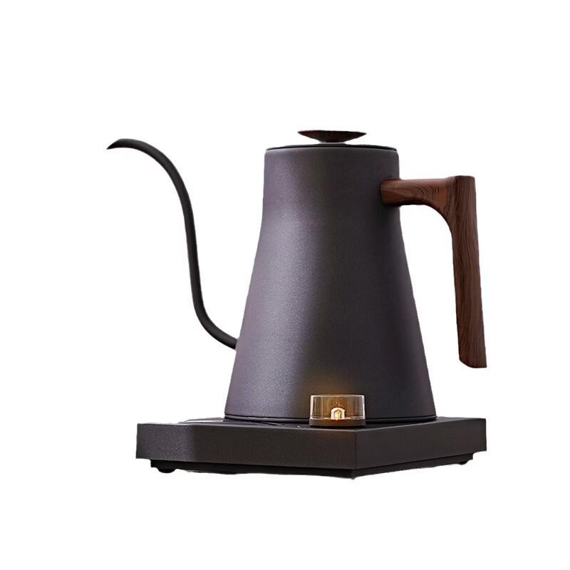Smart Electric Gooseneck Kettle