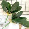 Artificial Green Phalaenopsis Leaves Faux Orchid Leaves Stem Real Touch Green Plant for Flower Arrangement Garden Bonsai Decor