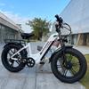 Bicicletă electrică Nathaniel SYR08 City, Motor Dublu 2000W, Roată Integrată 20x4.0, 48V20AH, Viteză 50+, Ciclism Exterior pe Zăpadă/Nisip