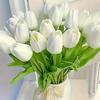Elegant Artificial Tulip Flowers, Leaf Decorations, Perfect for Weddings, Photography Props, Home & Bedroom Decoration Gifts