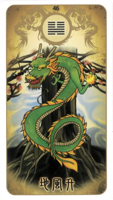 New Ryuha Taiwanese Style I Ching Cards Ryuha Watanabe 64 Cards [Authentic]