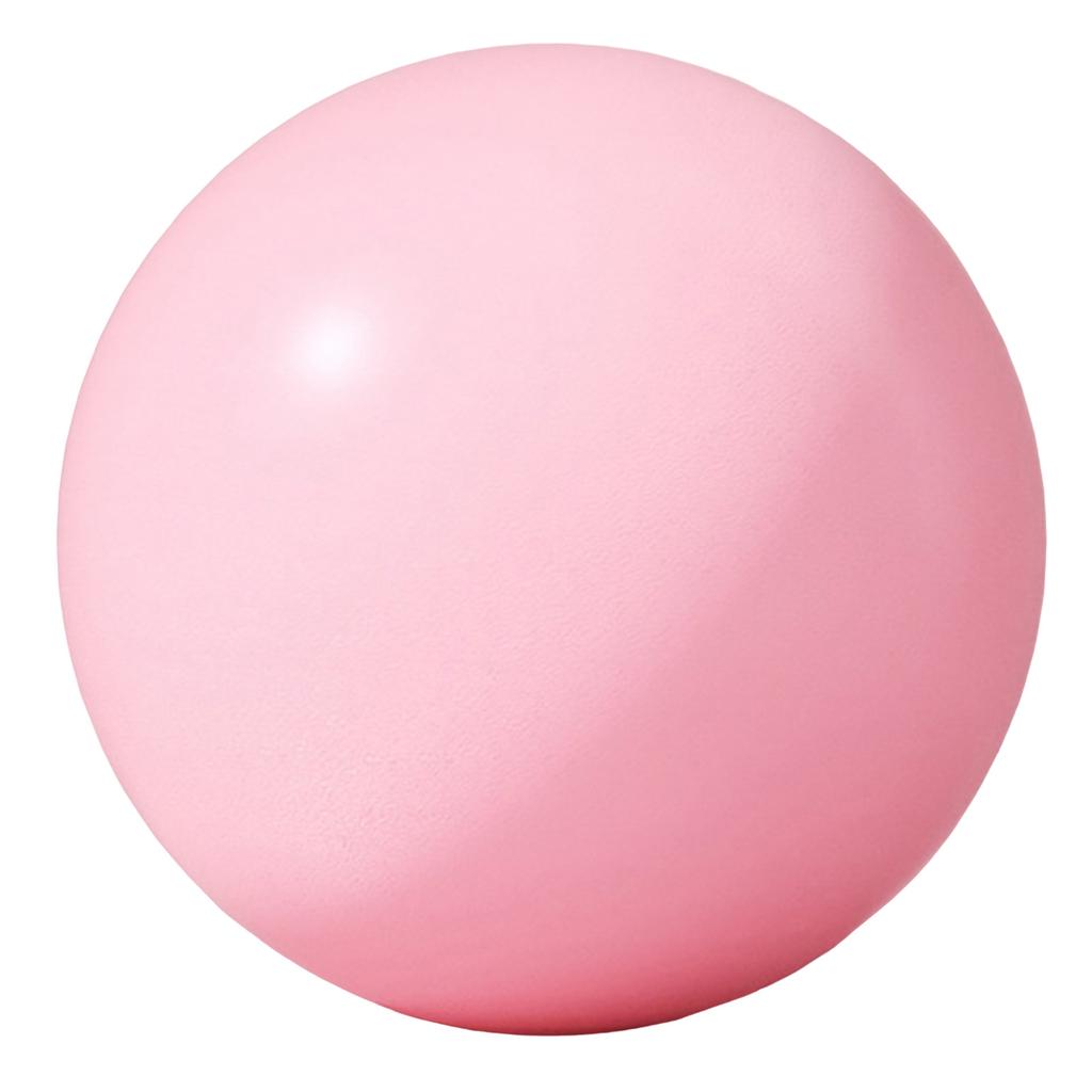 25cm 10 Inch Pilates Ball Small Exercise Ball Mini Yoga Ball Gym Ball for Home Gym Pilates Yoga Balance Core Training