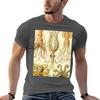 Gamochonia Ernst Haeckel Tshirt T Shirts For Unisex Graphic Tees Unisex T Shirts Graphic T Shirts For Unisex Cotton Soft Tshirt
