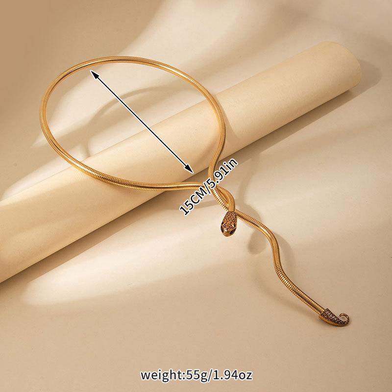 Exaggerated Personality Winding Snake Collar Necklace Bracelet Personality Three-dimensional Snake Cold Wind Metal Jewelry