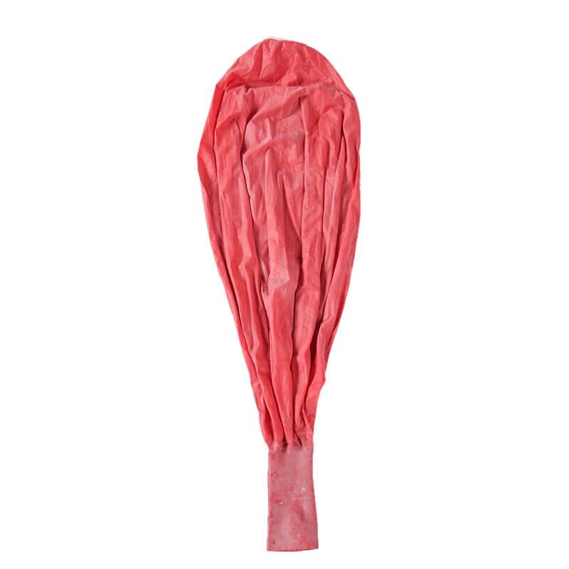 Dream Motion Weather & Sounding Balloons