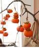 Frosted Persimmon String Wall Pendant for Autumn Decor – Perfect for Restaurants & Farmhouses