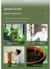 Electric Gardening Sprayer: Multipurpose Watering & Disinfection Can for Household Use