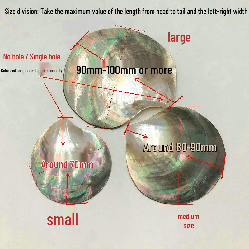 Natural Blacklip Pearl Irregular Pieces: Clothing Pendants, Charms, Caviar Dishes, Home Ornaments, DIY Accessories